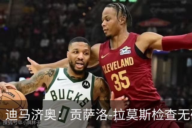迪马济奥：贡萨洛-拉莫斯检查无碍，有望出战乌迪内斯